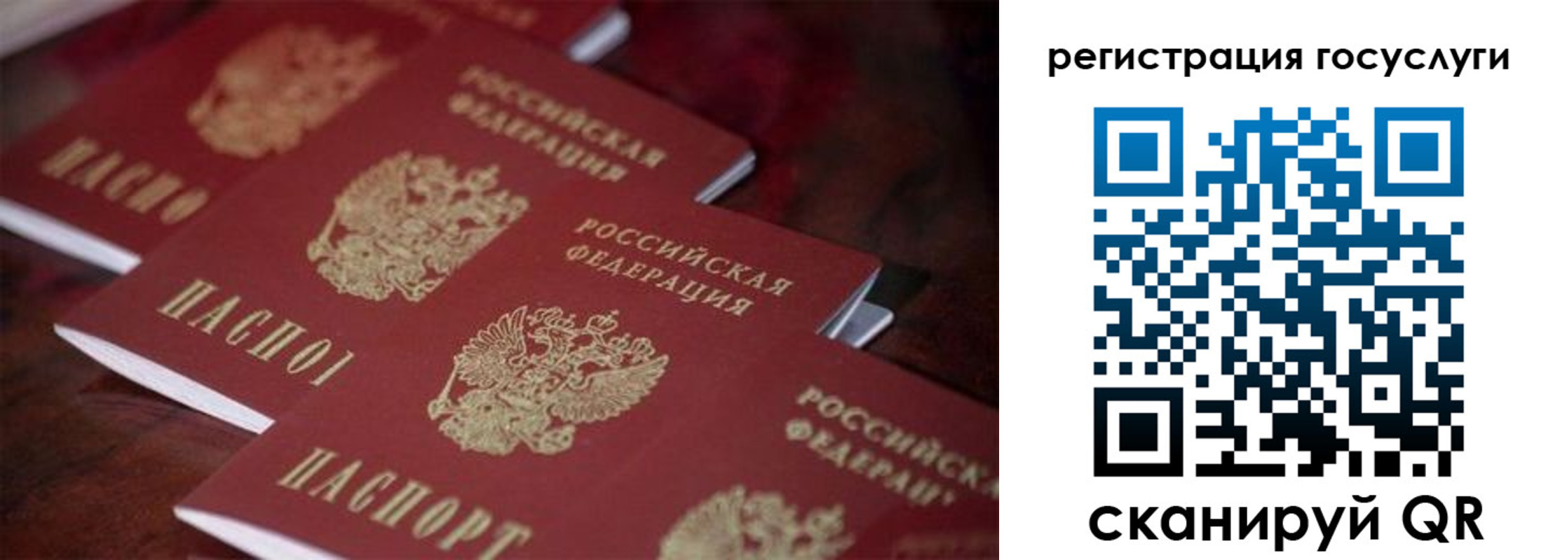 где прописаться в Завитинске